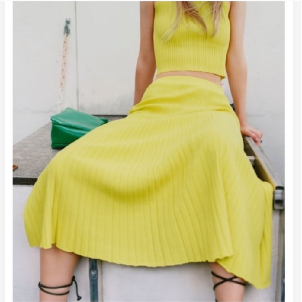 ZARA Special Edition Knit Midi Skirt